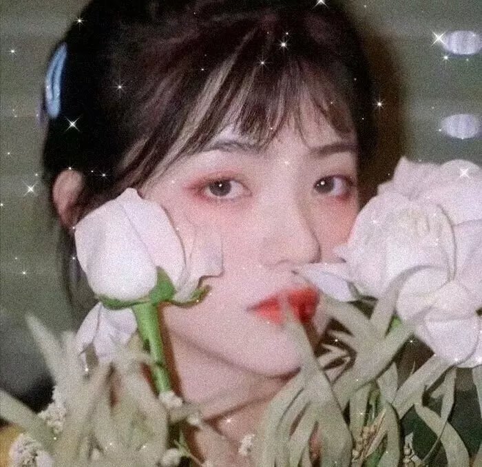 灵笼
